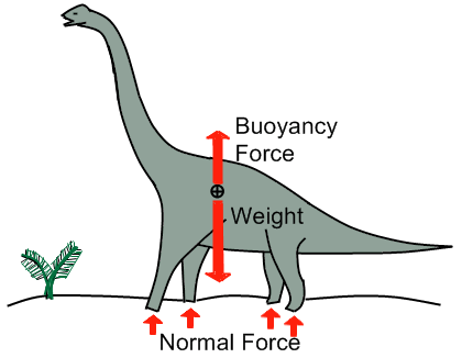 Buoyancy force vector