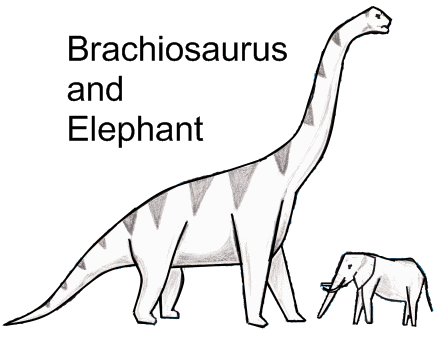 Picture of Brachiosaurus
