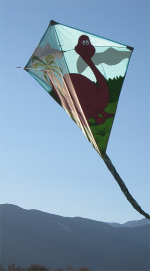 a flying kite