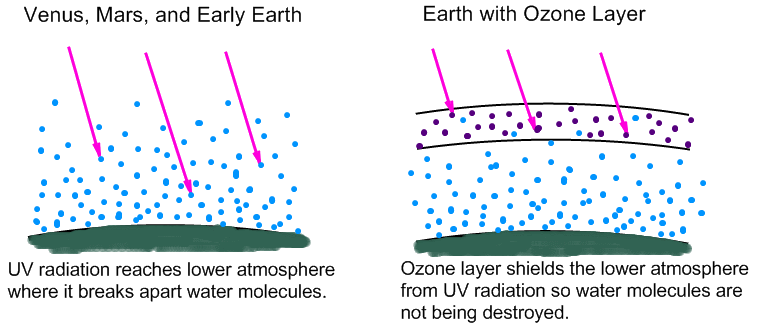 Diagram of how the ozone layer blocks UV radiation