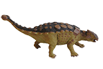 Ankylosaurus Model