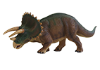 Triceratops Model