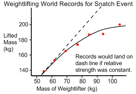 Graph of weightlifting world records for the snatch event as a function of weightlifter's mass